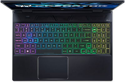 Ноутбук Acer Predator Helios 300 PH315-55 (NH.QGNER.004)