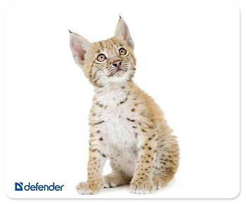 Коврик для компьютерной мыши Defender Шелковый (50706)