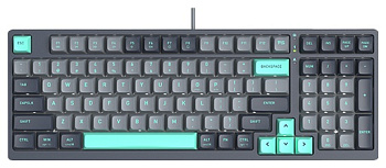 Клавиатура A4Tech Fstyler FS300 (FS300/PANDA ROCK CLIMBING)