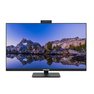 Моноблок Wintek BF2402, 23.8" (BF2402 (H610))