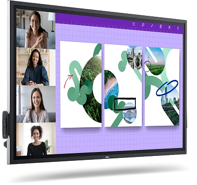 Монитор Dell Pro 65 Plus 4K Touch Monitor P6524QT (210-BJKJ)