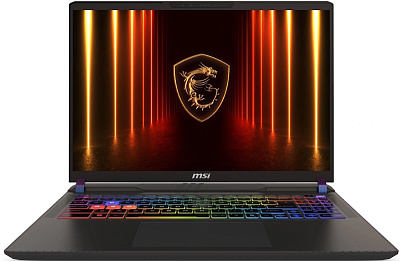 Ноутбук MSI Vector A16 HX A8WIG-074XKZ 16" (9S7-15MM72-074)