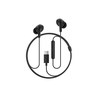 Наушники Xiaomi Type-C Earphones (M2413E1 Black)