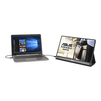 Монитор ASUS MB16AP 15.6" (90LM0381-B02170)