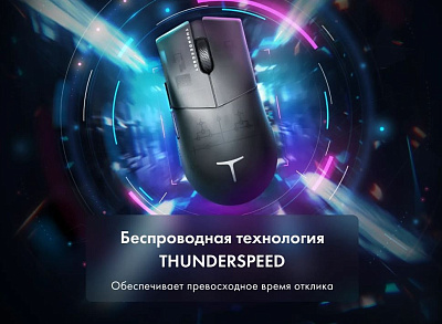 Игровая мышь беспроводная Thunderobot ML903, Black Mist (ML903-BKM)