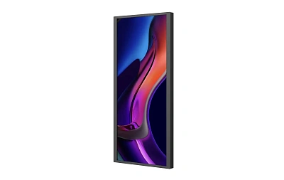 Профессиональная панель SOLUM Digital Signage 25" (B-Series) (WB25QACNDE0HSM)