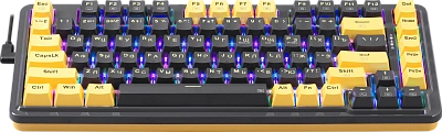 Клавиатура Redragon Elf purple/yellow (71664)