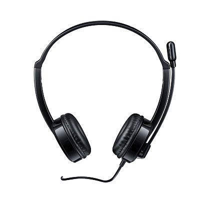 Гарнитура Rapoo H100 (H100)