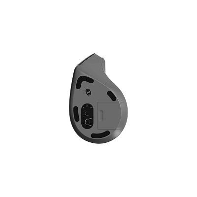 Компьютерная мышь Rapoo EV310M (EV310M)