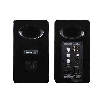 Колонки Edifier A100 (A100 Black)