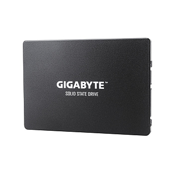 Твердотельный накопитель внутренний Gigabyte GSTFS31480GNTD (GP-GSTFS31480GNTD)