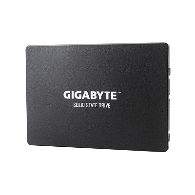 Твердотельный накопитель внутренний Gigabyte GSTFS31480GNTD (GP-GSTFS31480GNTD)